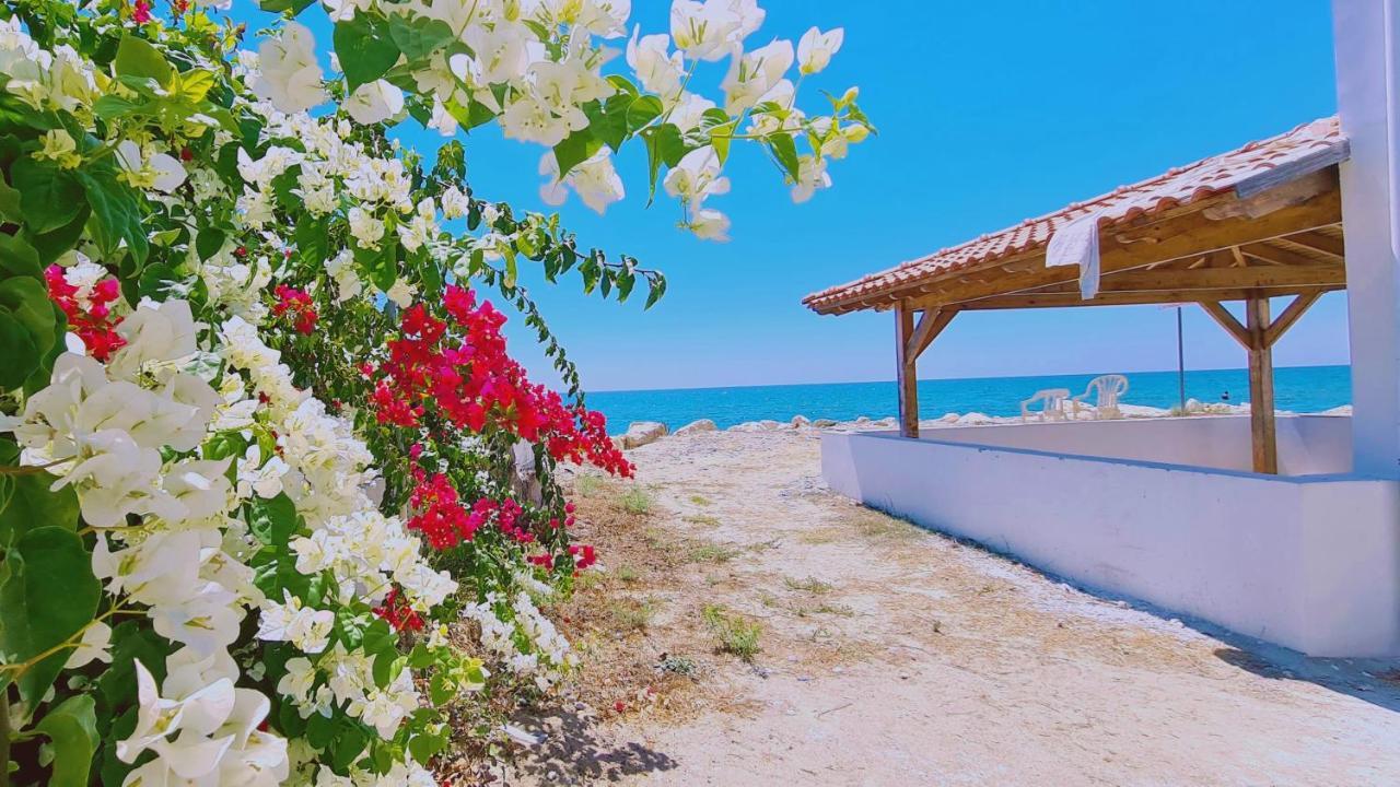 Stay Sea Gem House Менеоу Экстерьер фото
